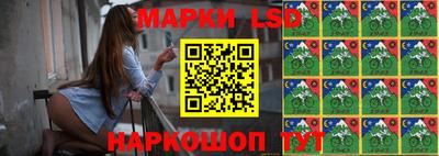 стафф Кимры