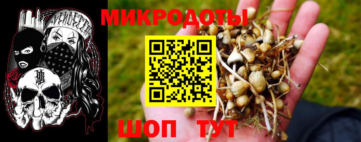 Псилоцибиновые грибы ЛСД Красногорск