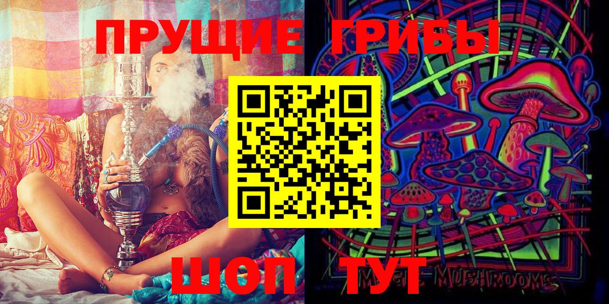Красногорск  Галлюциногенные грибы прущие грибы  Вход с VPN 